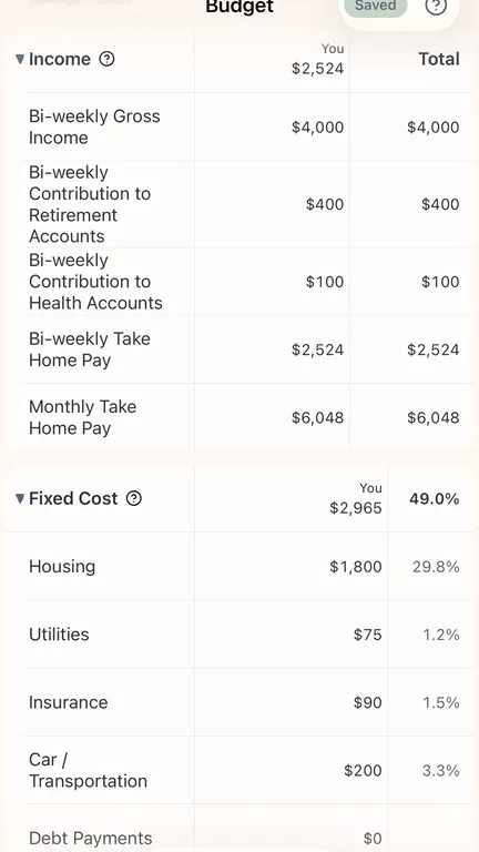 Starter Guide for YNAB iOS App Screenshot